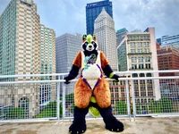 Ian chubby Fursuit 