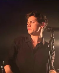 Harry Styles 