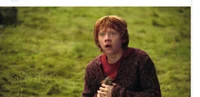 Ron Weasley 