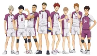 Shiratorizawa Team