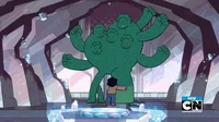 Cactus Steven 
