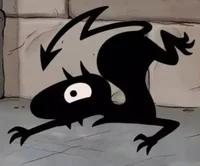 Luci