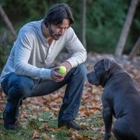John Wick