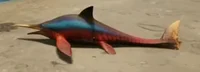 Delfines Zarco 