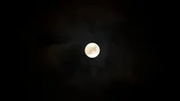 The moon