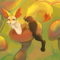 Braixen tf tg