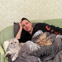 ваш кот завертин 