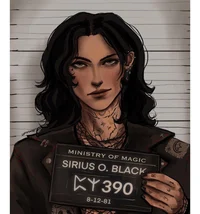 Sirius Black III