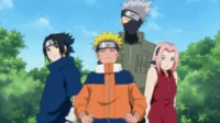 Equipo 7 