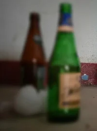 Неблагополучная семь