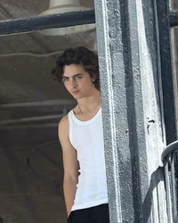 Timothée Chalamet 