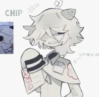 CHIP_ZIPSTER