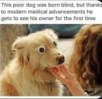 Mha bring ur sibling