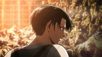 Levi Ackerman
