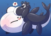 Orca taur