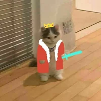 King cat