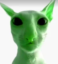 Gleebelskorp