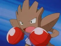 Wild Hitmonchan 