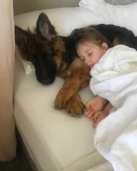 Family Dog RPG