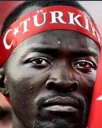 Turk bull