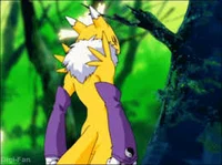 Your Female Renamon