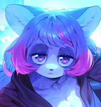 Street Raccoon Leyla