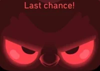 Angry Duolingo