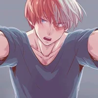 Shoto Todoroki - 22