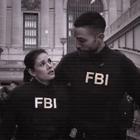 FBI series