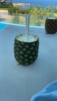 rick the pineapple 