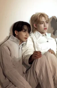 Jeonghan and cheol