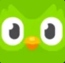 Duolingo