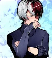 Shoto Todoroki 