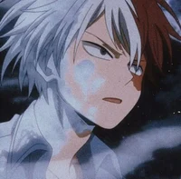 Shoto Todoroki