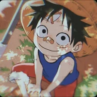Son Luffy 