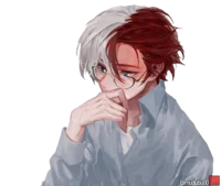 тодороки шото