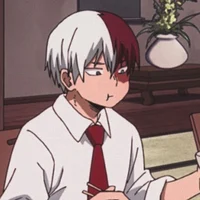 Shoto Todoroki