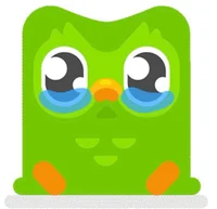 Sad Duolingo