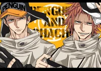 Shachi n Penguin