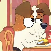 Jack Russel Adulto