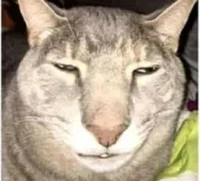 Chooch bamabalazi