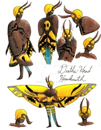 Deaths-head Hawkmoth