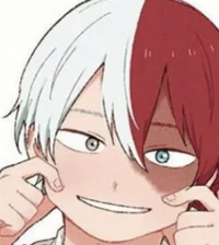 Shoto Todoroki