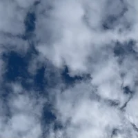 01 - RECENT RELEASES