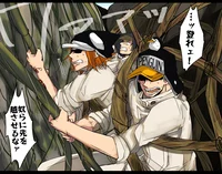 Heart Pirates