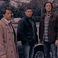 Team Free Will 