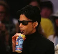 Prince Rogers Nelson