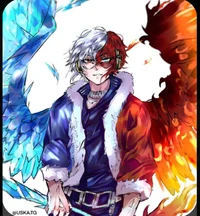 Phenix Todoroki