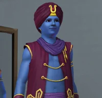 Sims 3 Male Genie