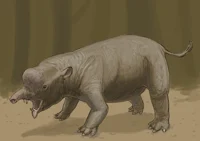 Numidotherium